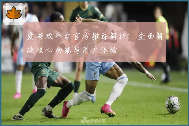 爱游戏平台官方推荐解析：全面解读核心功能与用户体验